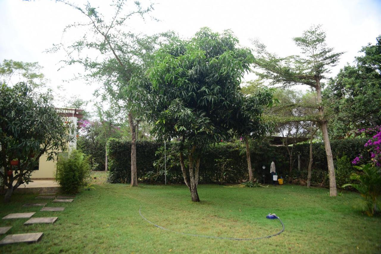 Charming Eco-Homestay Near Kilimanjaro International Airport Аруша Екстериор снимка